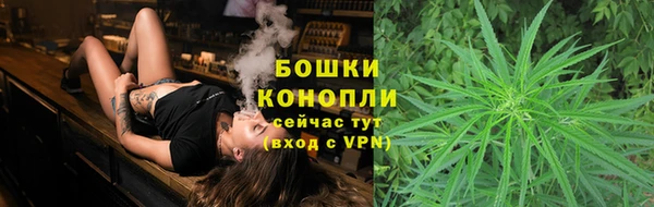 гашик Горнозаводск